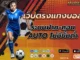 เว็บตรงแทงบอล 2