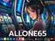ALLONE65 2
