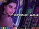 Superslot wallet 1