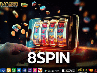8SPIN